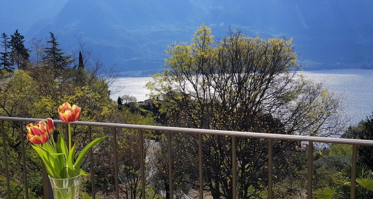 Loft Diva Lake View By Gardadomusmea Tremosine Экстерьер фото